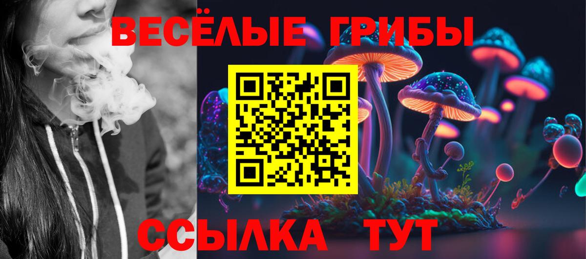 Псилоцибиновые грибы Magic Shrooms Курчалой