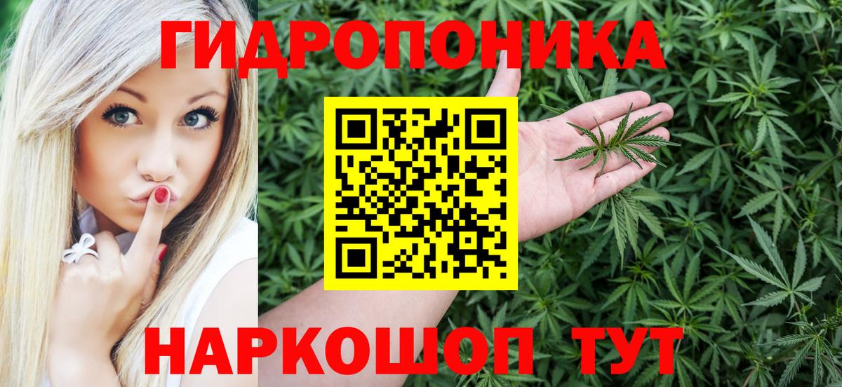 Бошки марихуана семена Курчалой